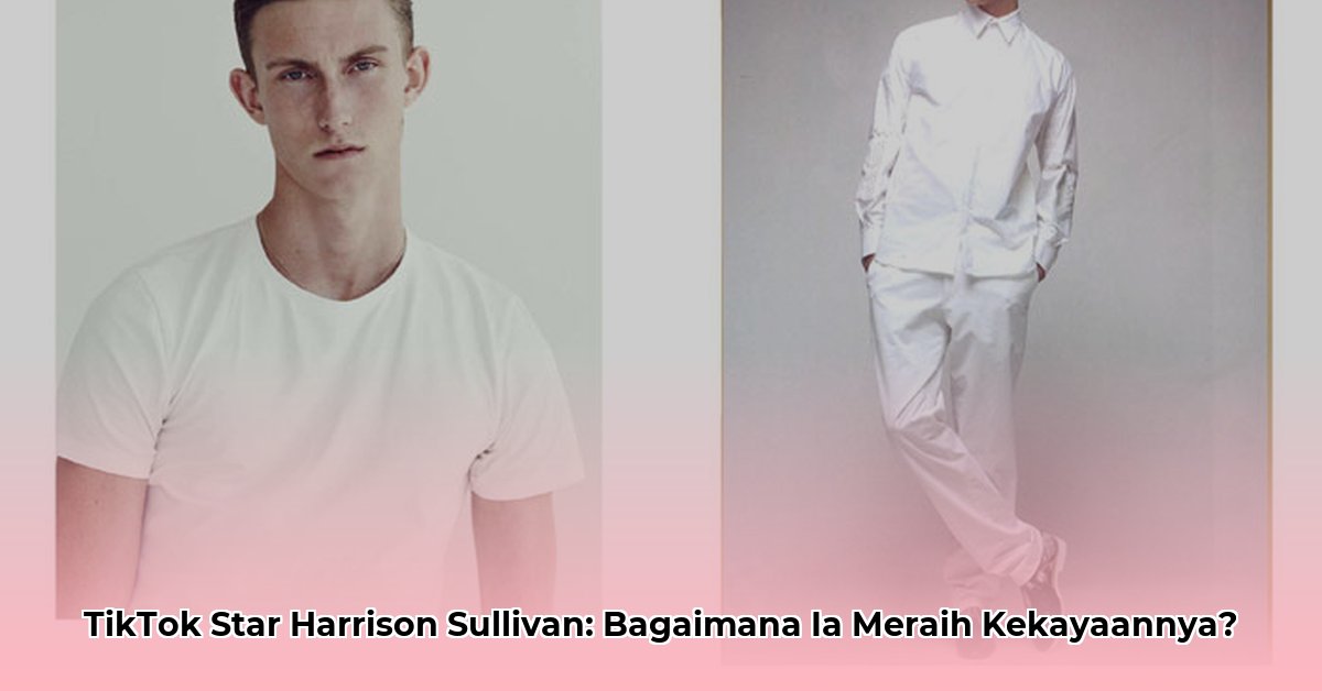 harrison sullivan net worth